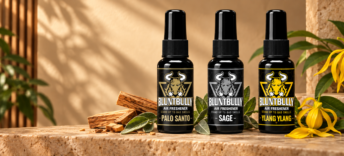 BluntBully Palo Santo Air Freshener, Sage Air Freshener, Ylang Ylang Air Freshener with current bottle packaging