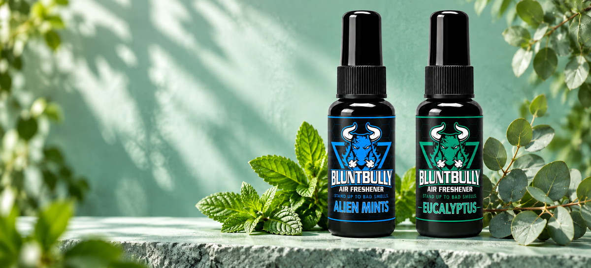 BluntBully Alien Mints Air Freshener, Eucalyptus Air Freshener with current bottle packaging