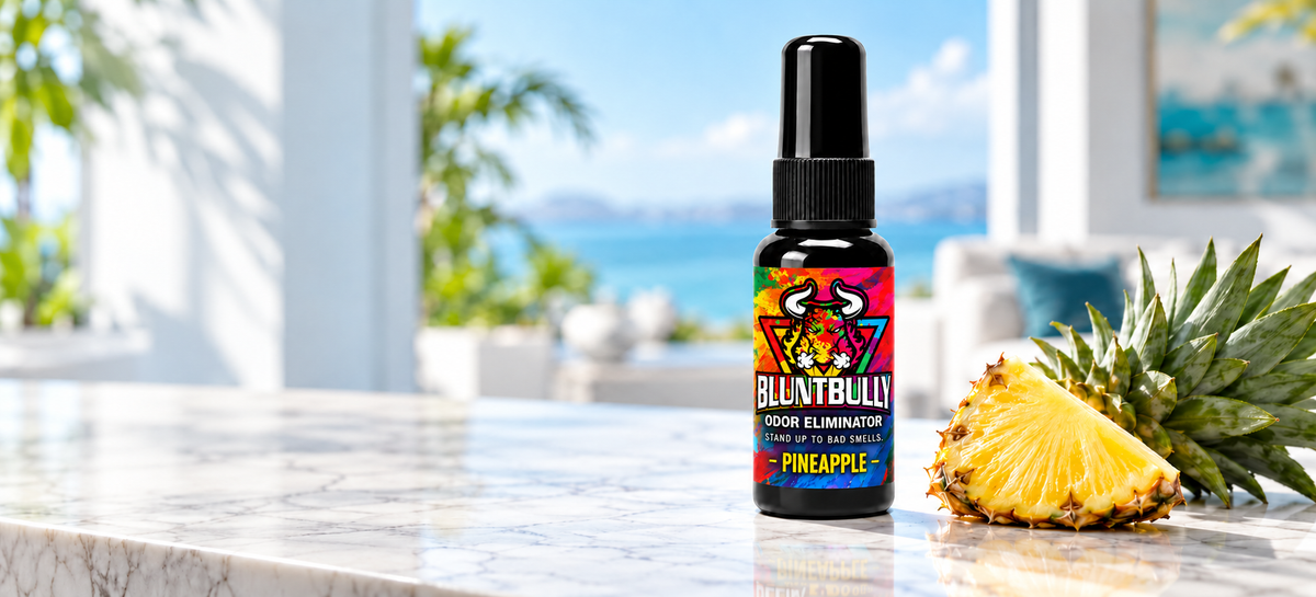 BluntBully Pineapple Odor Eliminator with current bottle packaging