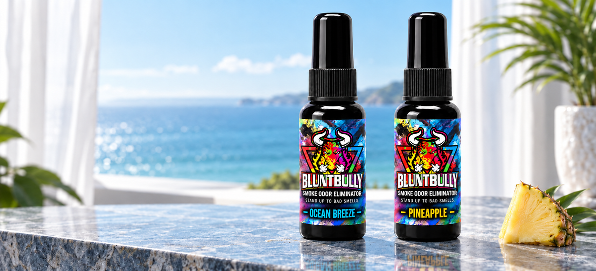 BluntBully Ocean Breeze Smoke Odor Eliminator, Pineapple Smoke Odor Eliminator with current bottle packaging