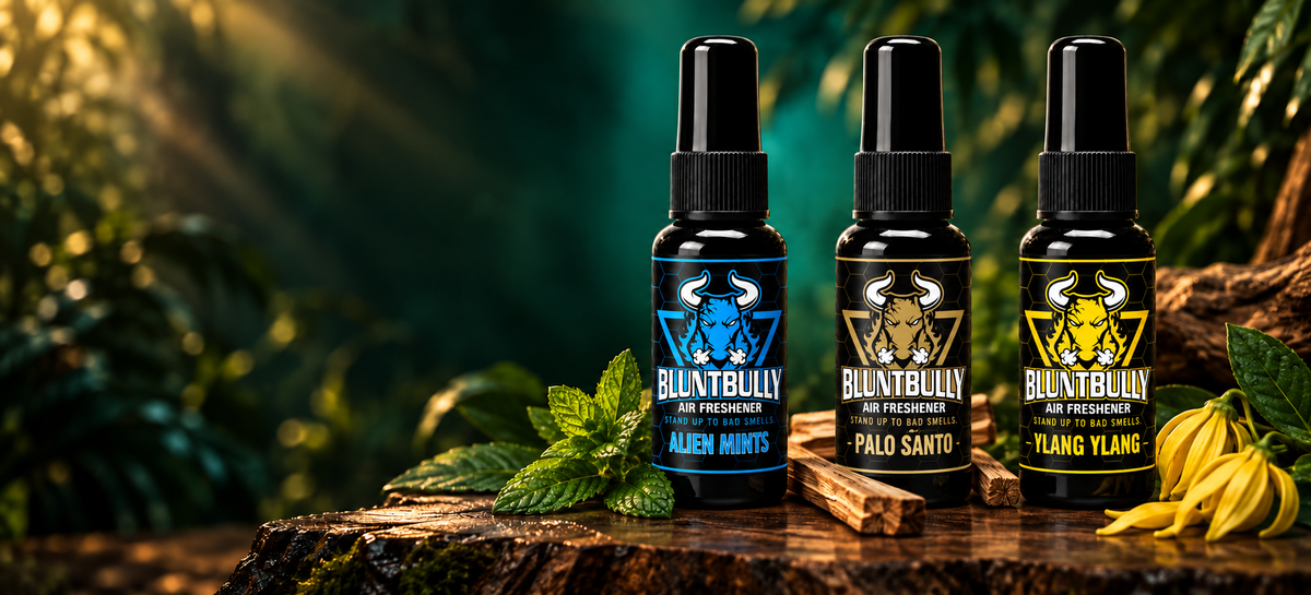 BluntBully Alien Mints Air Freshener, Palo Santo Air Freshener, Ylang Ylang Air Freshener with current bottle packaging