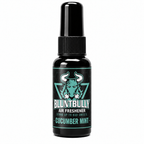 Blunt Bully Cucumber Mint Air Freshener Spray — updated bottle design, 1.5 oz Discovery Set bottle