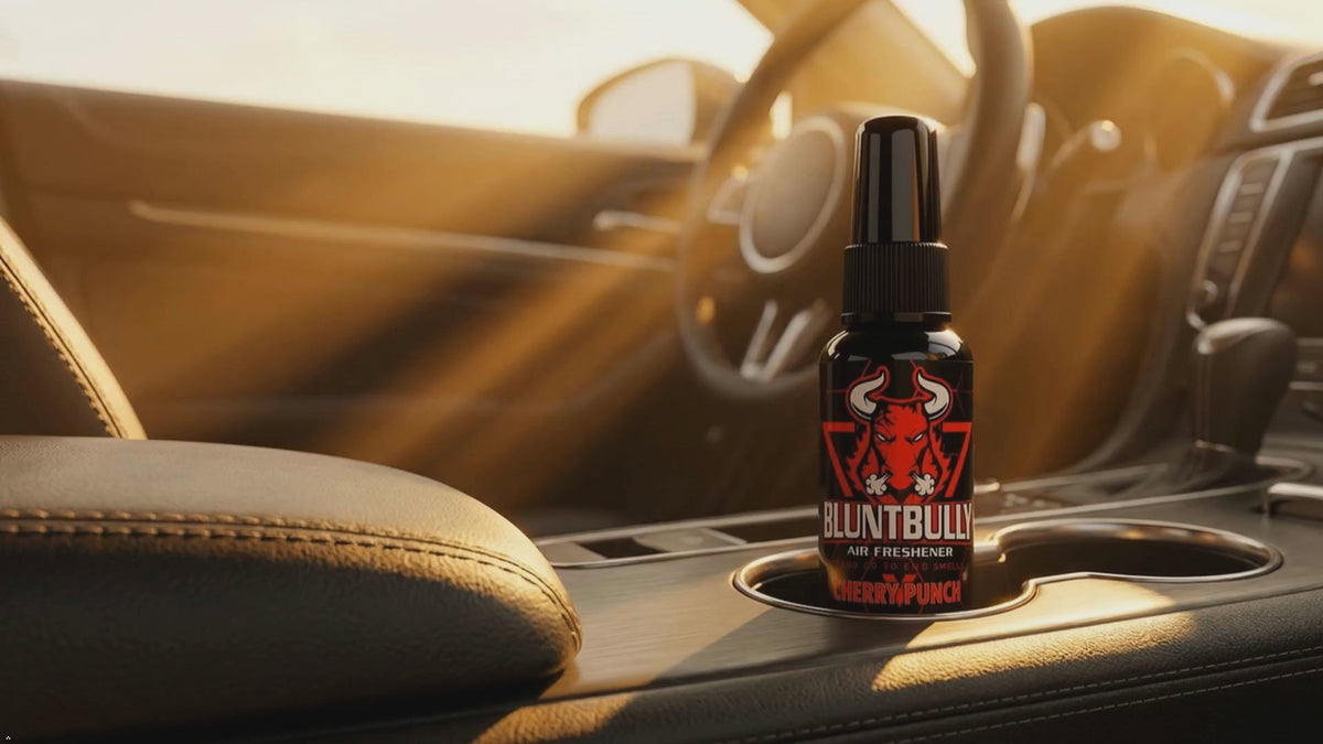 BluntBully air freshener promotional video